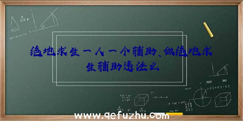 绝地求生一人一个辅助、做绝地求生辅助违法么