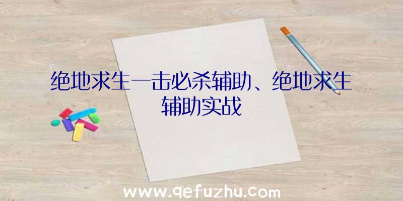 绝地求生一击必杀辅助、绝地求生辅助实战