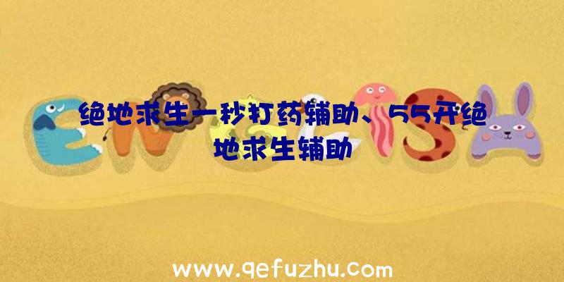 绝地求生一秒打药辅助、55开绝地求生辅助