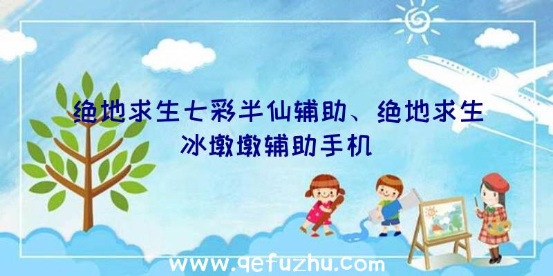 绝地求生七彩半仙辅助、绝地求生冰墩墩辅助手机