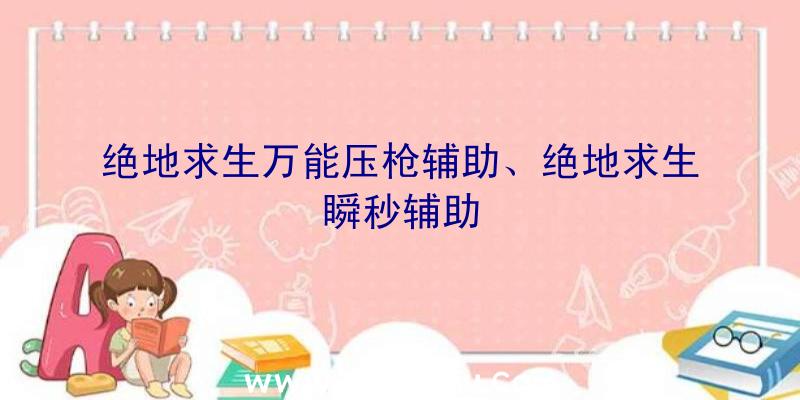 绝地求生万能压枪辅助、绝地求生瞬秒辅助