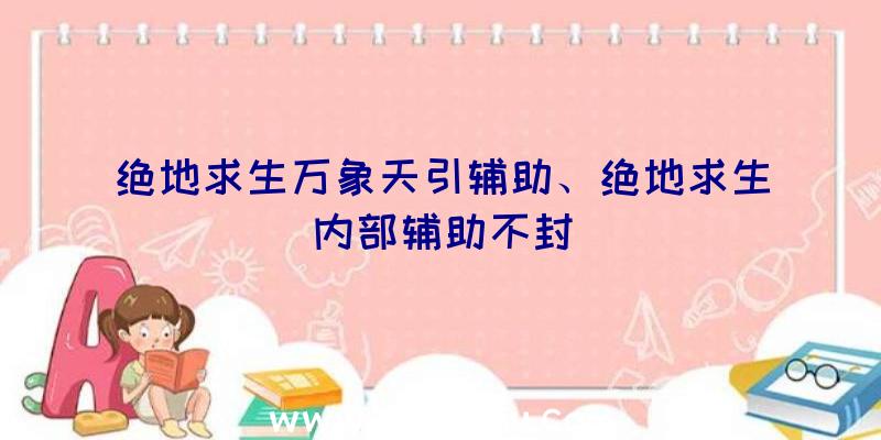 绝地求生万象天引辅助、绝地求生内部辅助不封