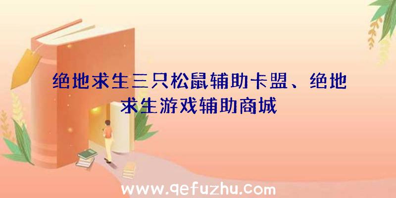 绝地求生三只松鼠辅助卡盟、绝地求生游戏辅助商城