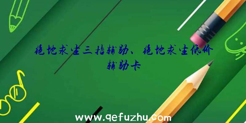 绝地求生三指辅助、绝地求生低价辅助卡