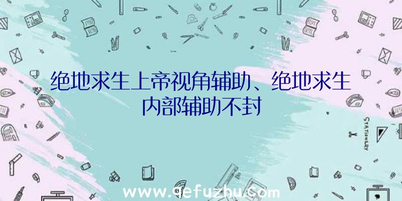 绝地求生上帝视角辅助、绝地求生内部辅助不封