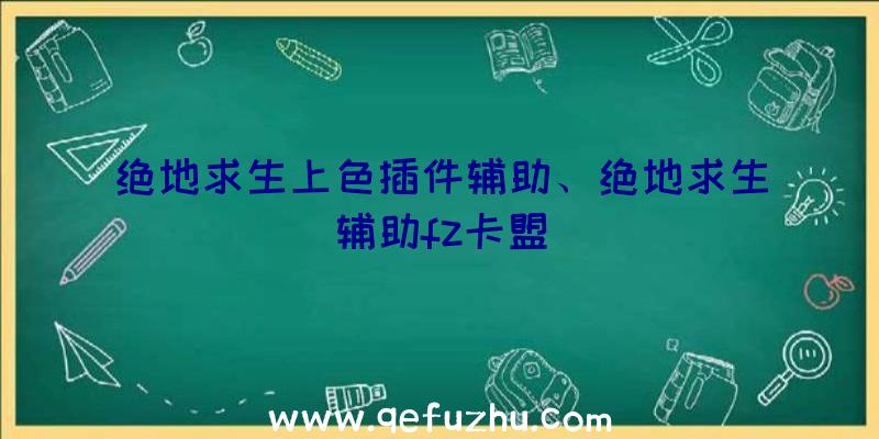 绝地求生上色插件辅助、绝地求生辅助fz卡盟