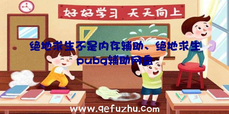 绝地求生不是内存辅助、绝地求生pubg辅助网盘