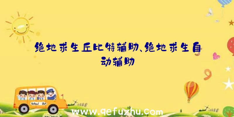 绝地求生丘比特辅助、绝地求生自动辅助