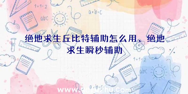 绝地求生丘比特辅助怎么用、绝地求生瞬秒辅助