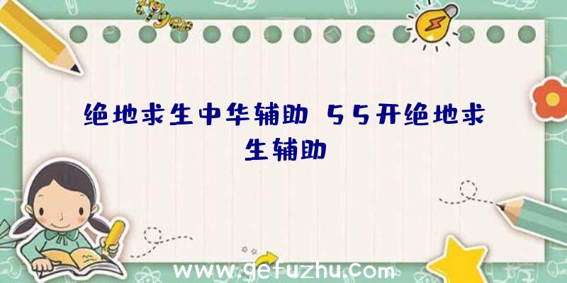 绝地求生中华辅助、55开绝地求生辅助