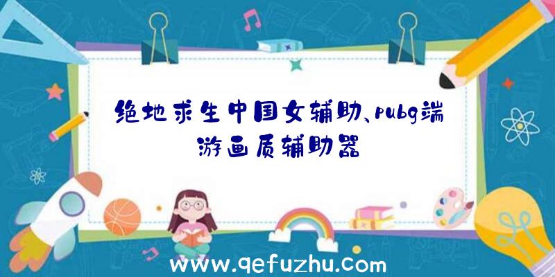 绝地求生中国女辅助、pubg端游画质辅助器