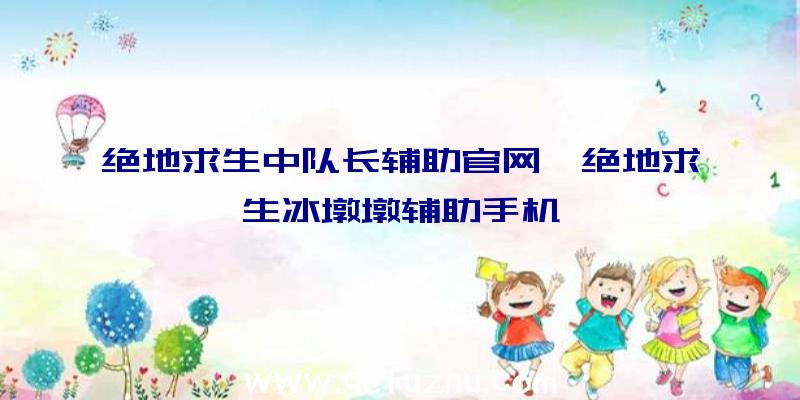 绝地求生中队长辅助官网、绝地求生冰墩墩辅助手机