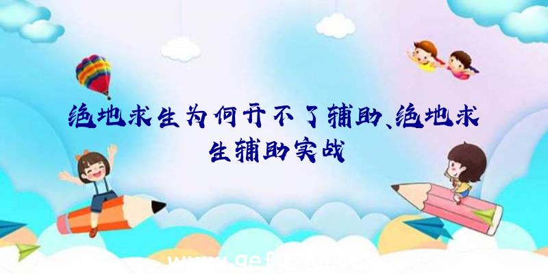 绝地求生为何开不了辅助、绝地求生辅助实战