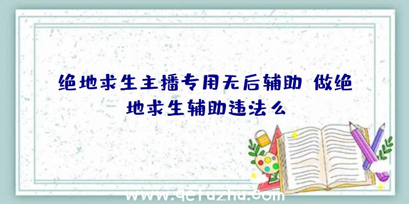 绝地求生主播专用无后辅助、做绝地求生辅助违法么