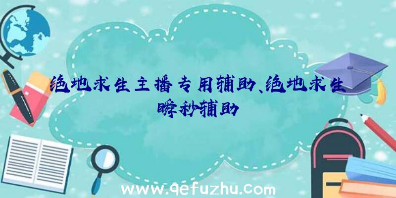 绝地求生主播专用辅助、绝地求生瞬秒辅助