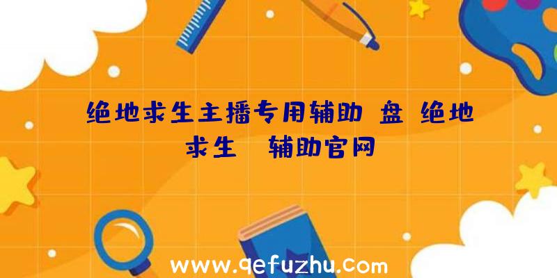 绝地求生主播专用辅助u盘、绝地求生be辅助官网