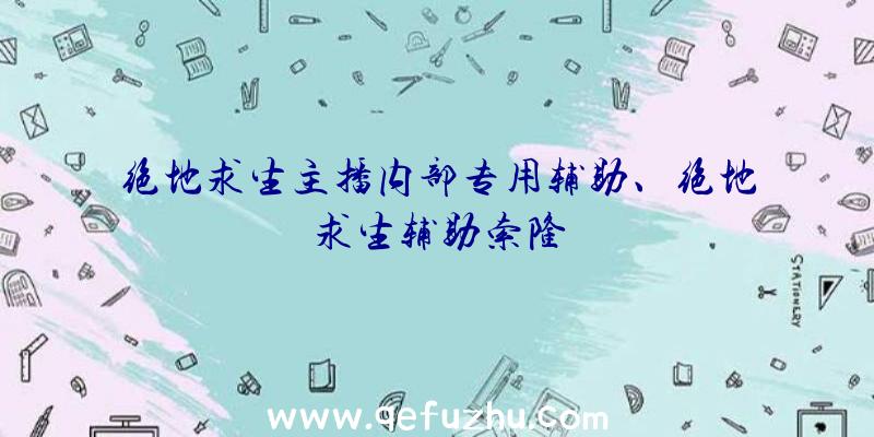 绝地求生主播内部专用辅助、绝地求生辅助索隆