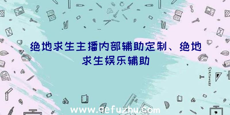 绝地求生主播内部辅助定制、绝地求生娱乐辅助