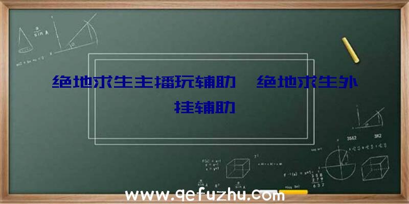 绝地求生主播玩辅助、绝地求生外挂辅助