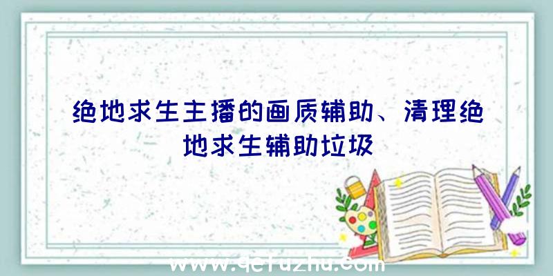 绝地求生主播的画质辅助、清理绝地求生辅助垃圾