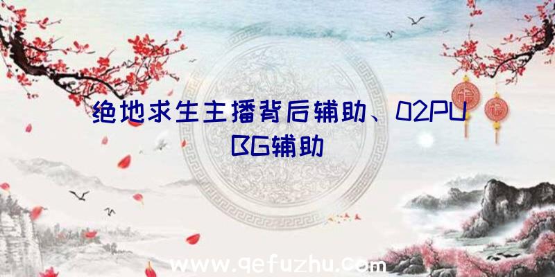 绝地求生主播背后辅助、02PUBG辅助