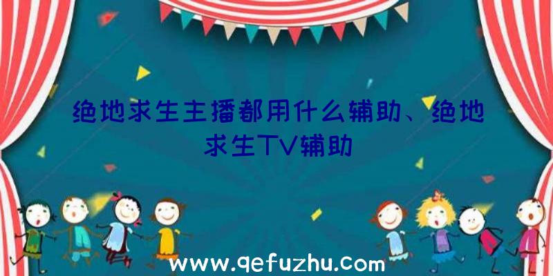 绝地求生主播都用什么辅助、绝地求生TV辅助