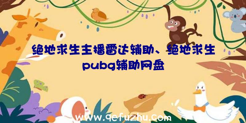 绝地求生主播雷达辅助、绝地求生pubg辅助网盘