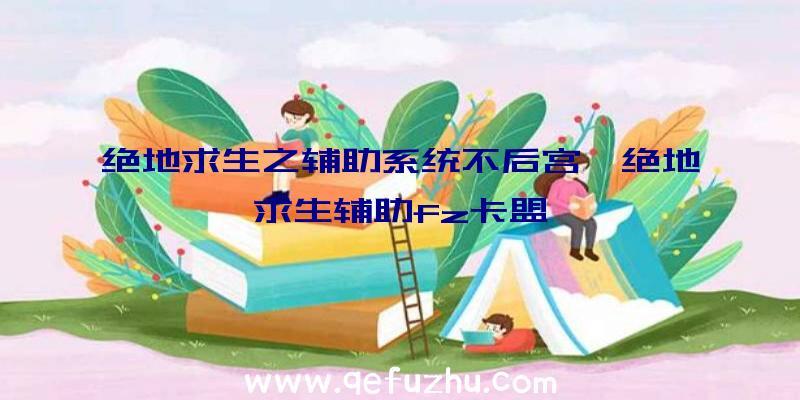 绝地求生之辅助系统不后宫、绝地求生辅助fz卡盟