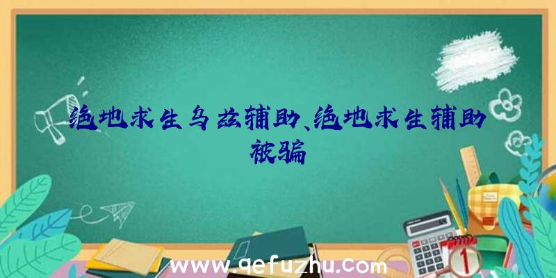 绝地求生乌兹辅助、绝地求生辅助被骗