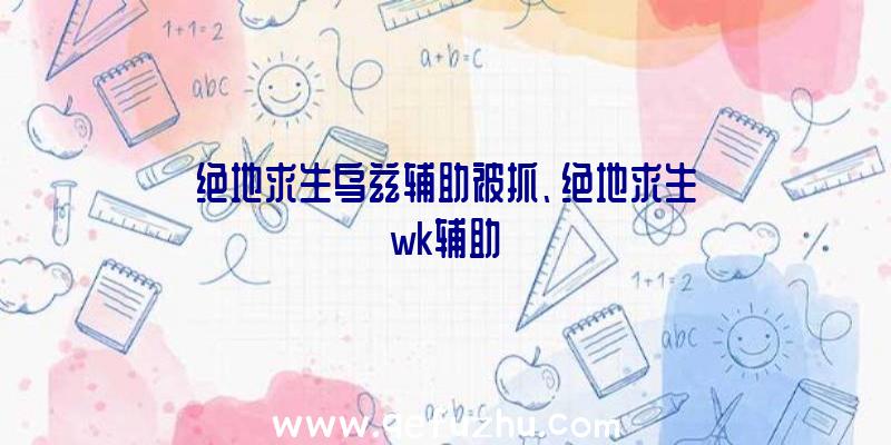 绝地求生乌兹辅助被抓、绝地求生wk辅助