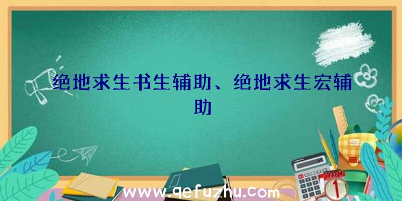 绝地求生书生辅助、绝地求生宏辅助