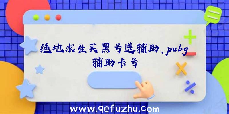 绝地求生买黑号送辅助、pubg辅助卡号