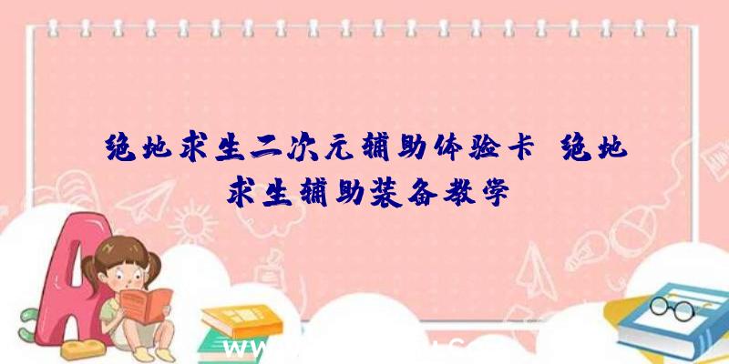 绝地求生二次元辅助体验卡、绝地求生辅助装备教学