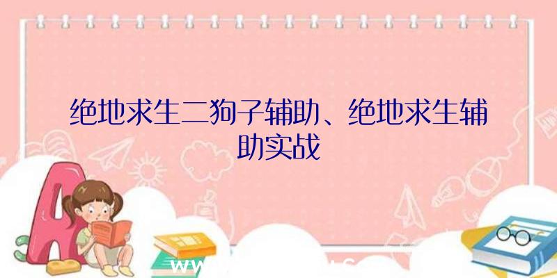 绝地求生二狗子辅助、绝地求生辅助实战