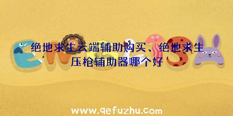 绝地求生云端辅助购买、绝地求生压枪辅助器哪个好