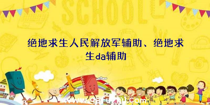 绝地求生人民解放军辅助、绝地求生da辅助