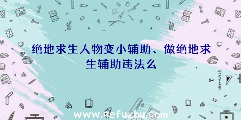 绝地求生人物变小辅助、做绝地求生辅助违法么