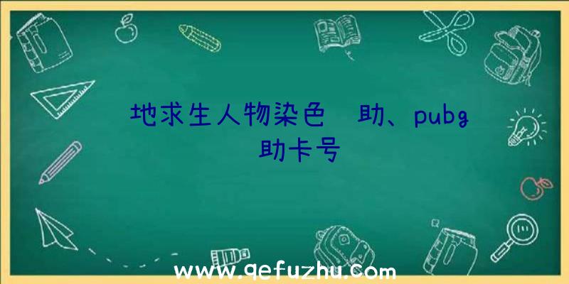 绝地求生人物染色辅助、pubg辅助卡号