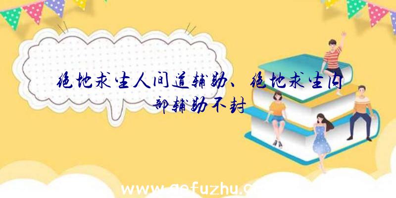 绝地求生人间道辅助、绝地求生内部辅助不封