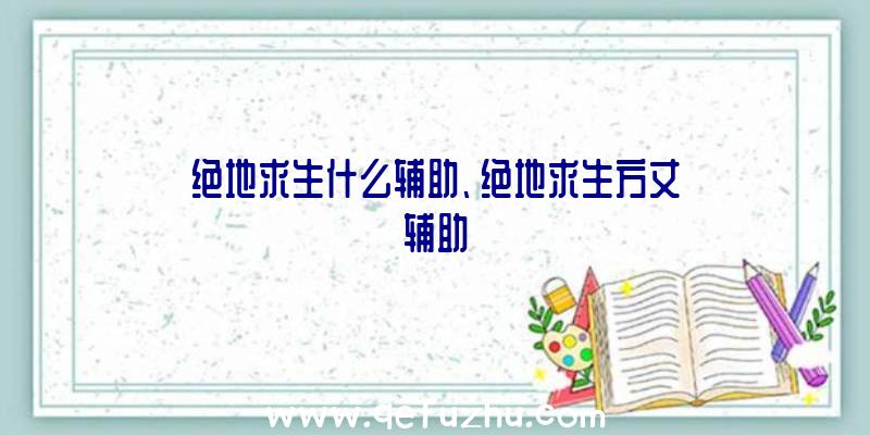 绝地求生什么辅助、绝地求生方丈辅助