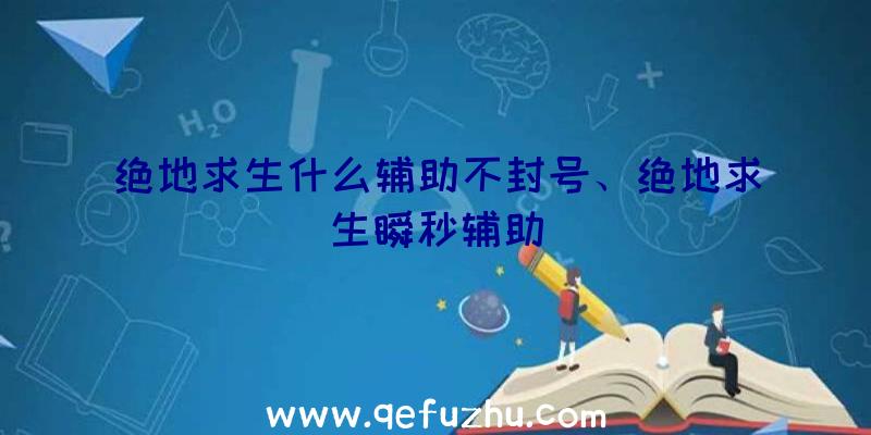 绝地求生什么辅助不封号、绝地求生瞬秒辅助