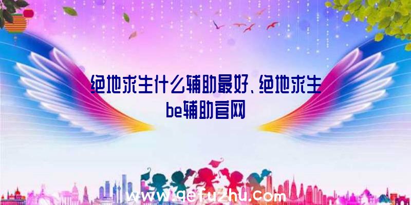 绝地求生什么辅助最好、绝地求生be辅助官网