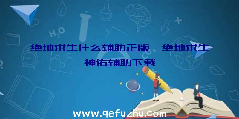 绝地求生什么辅助正版、绝地求生神佑辅助下载