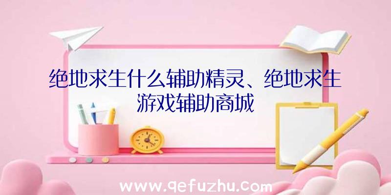 绝地求生什么辅助精灵、绝地求生游戏辅助商城