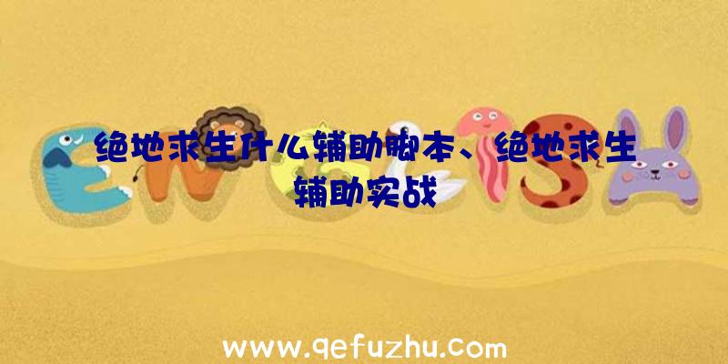 绝地求生什么辅助脚本、绝地求生辅助实战