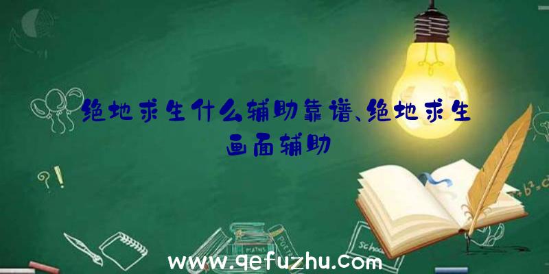 绝地求生什么辅助靠谱、绝地求生画面辅助