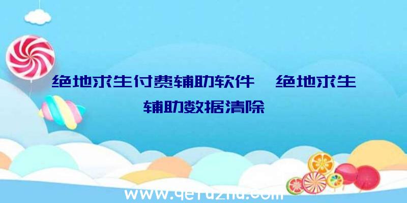 绝地求生付费辅助软件、绝地求生辅助数据清除