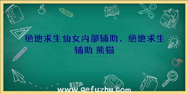 绝地求生仙女内部辅助、绝地求生辅助