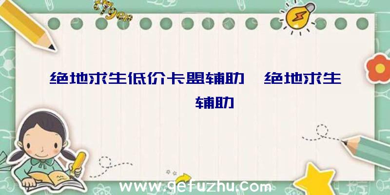 绝地求生低价卡盟辅助、绝地求生迪迦辅助