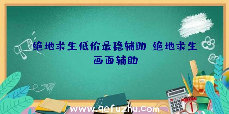 绝地求生低价最稳辅助、绝地求生画面辅助